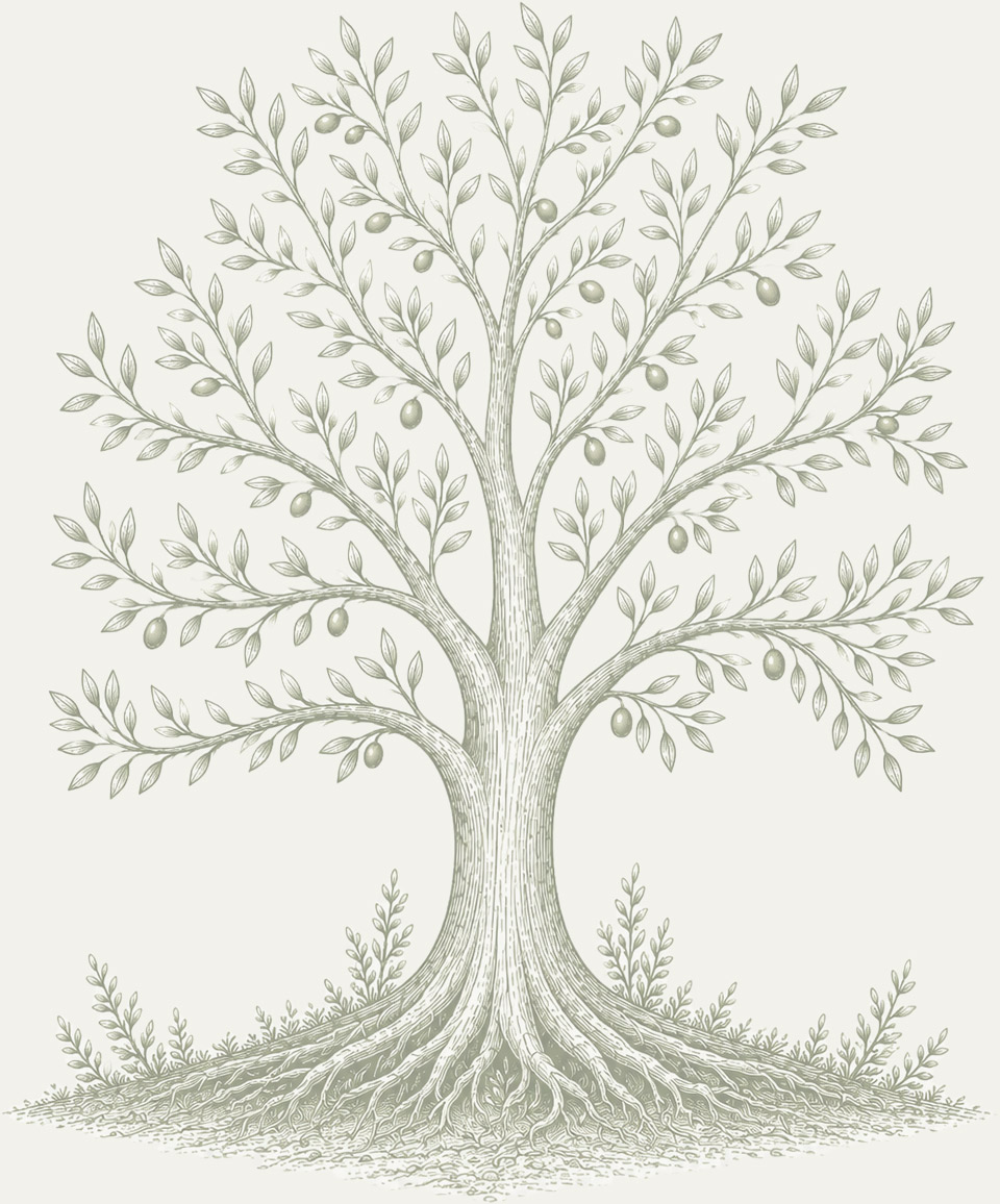 Our values tree